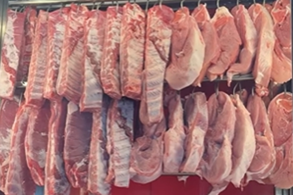 Carnes frescas todo dia