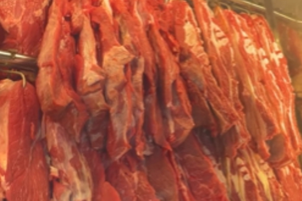 Carnes frescas todo dia
